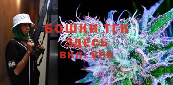 твердый Вяземский