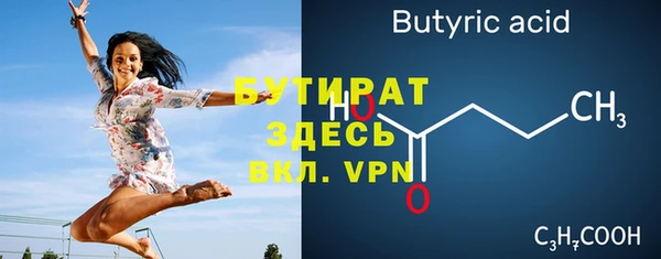 твердый Вяземский