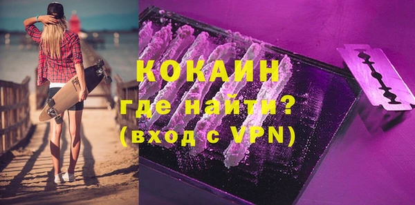 твердый Вяземский