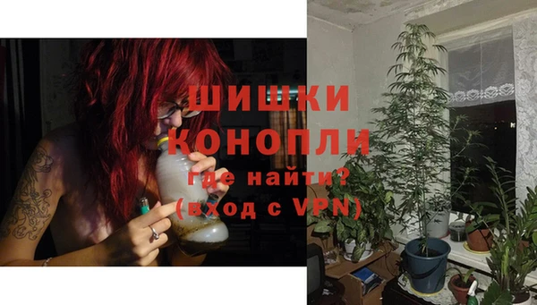 твердый Вяземский