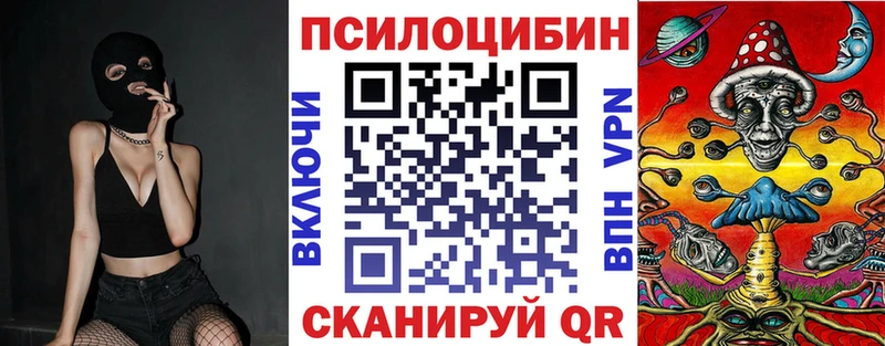 Псилоцибиновые грибы мицелий  закладка  Вологда 